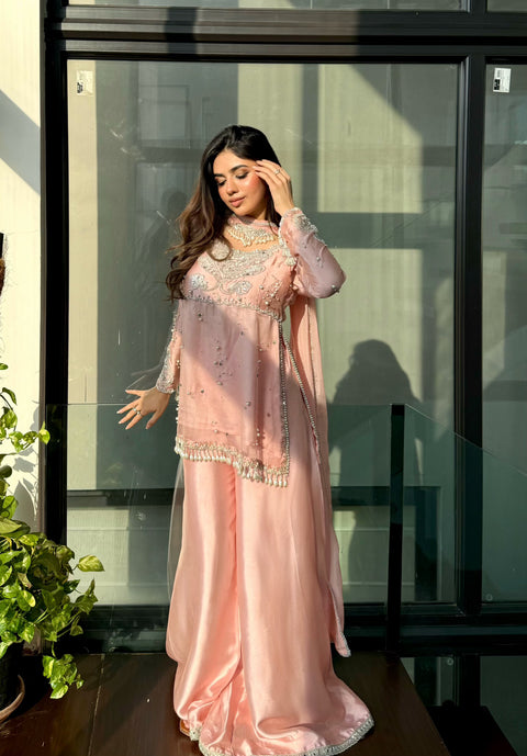 Pale Pink Outfit