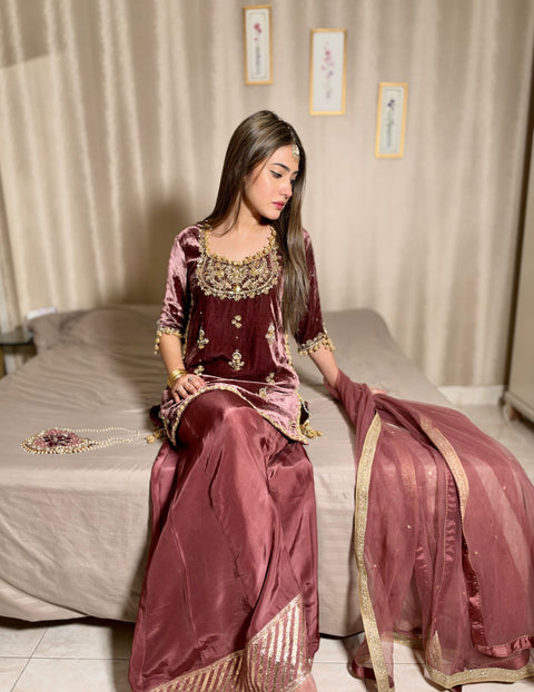 Antique Pink Velvet outfit.