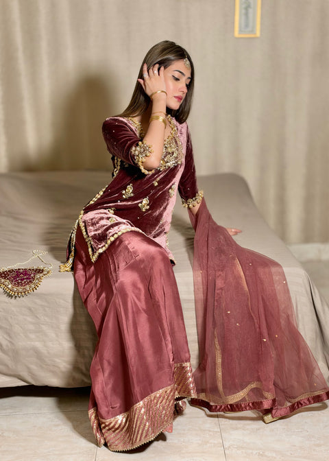 Antique Pink Velvet outfit.
